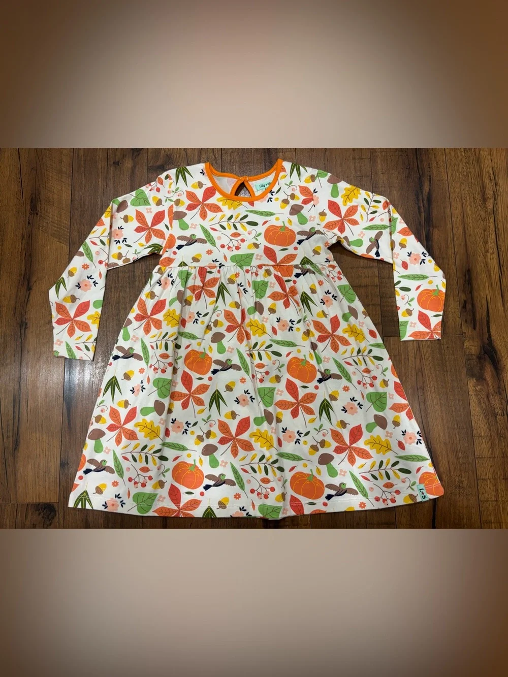Lilly and Sid Autumn Fall Dress & Leggings Set NWOT Mushroom Pumpkin Acorn Birds
